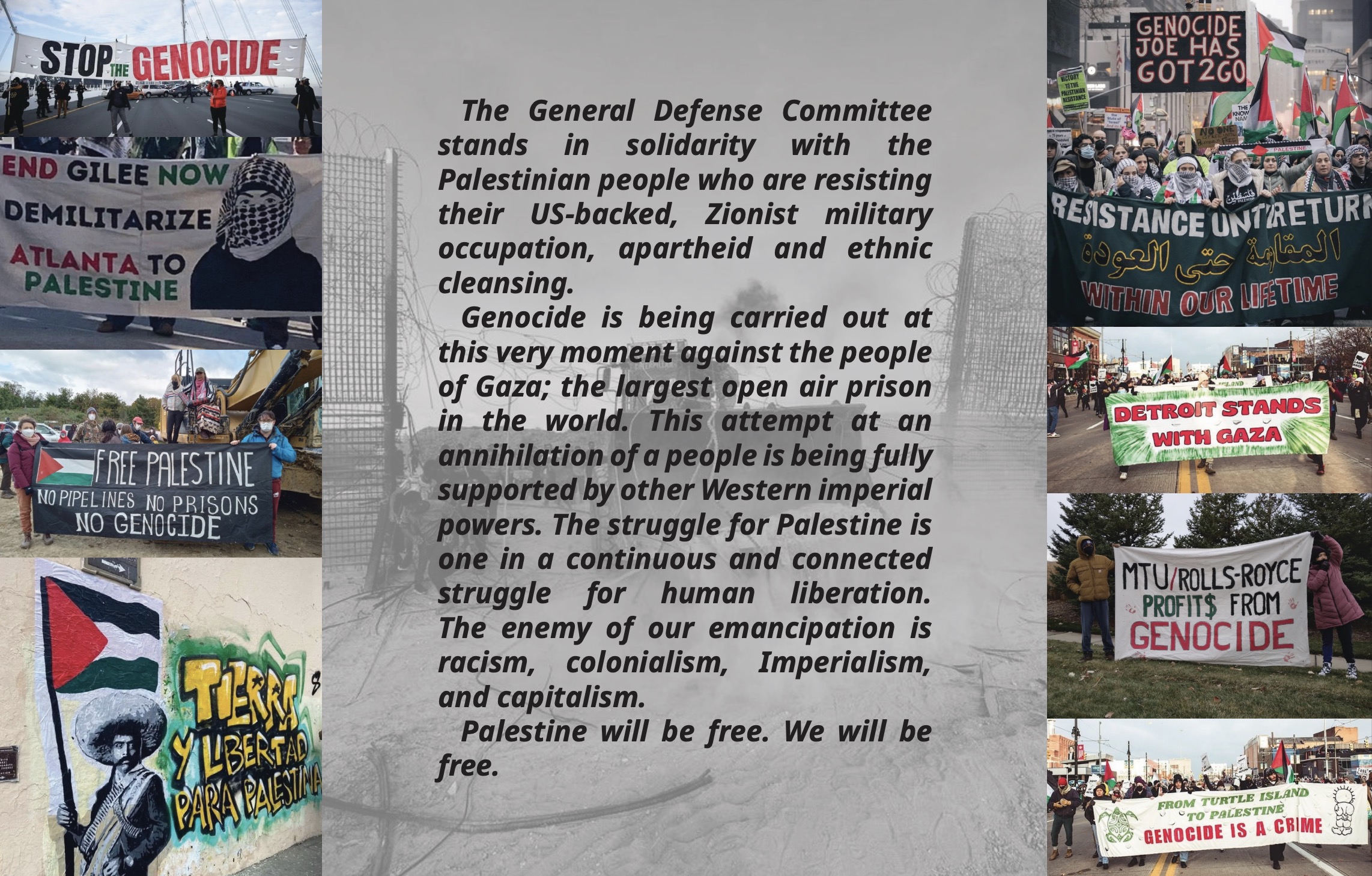 Resist Genocide in Gaza – By Any Means Necessary!